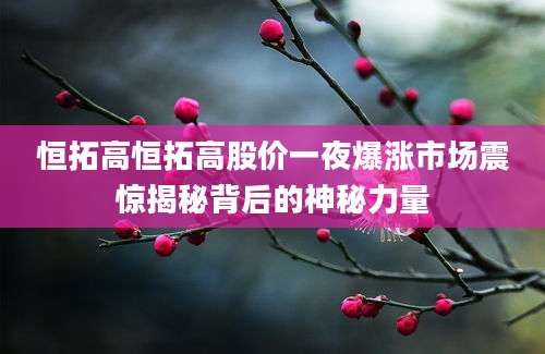 恒拓高恒拓高股价一夜爆涨市场震惊揭秘背后的神秘力量