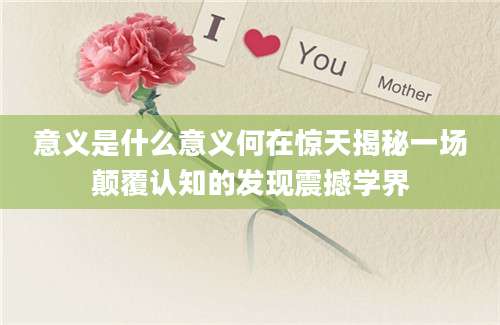 意义是什么意义何在惊天揭秘一场颠覆认知的发现震撼学界