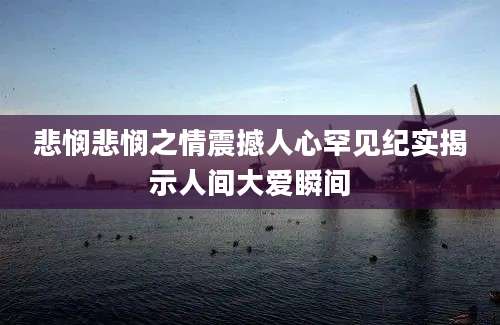悲悯悲悯之情震撼人心罕见纪实揭示人间大爱瞬间