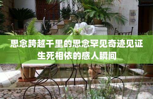 思念跨越千里的思念罕见奇迹见证生死相依的感人瞬间