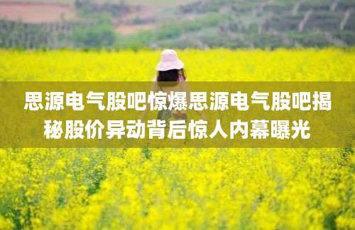 思源电气股吧惊爆思源电气股吧揭秘股价异动背后惊人内幕曝光