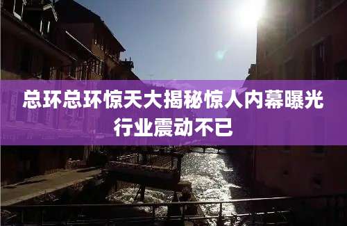 总环总环惊天大揭秘惊人内幕曝光行业震动不已
