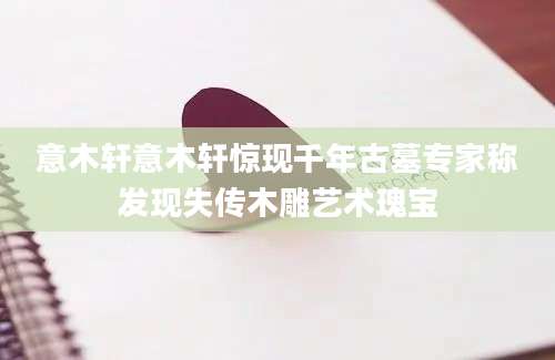 意木轩意木轩惊现千年古墓专家称发现失传木雕艺术瑰宝