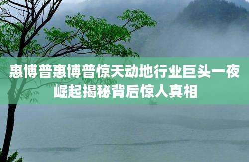 惠博普惠博普惊天动地行业巨头一夜崛起揭秘背后惊人真相