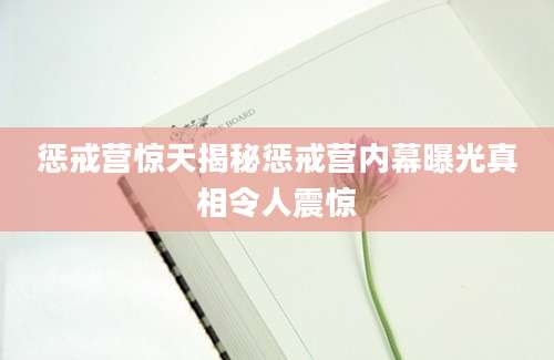 惩戒营惊天揭秘惩戒营内幕曝光真相令人震惊