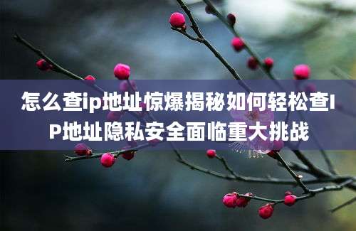 怎么查ip地址惊爆揭秘如何轻松查IP地址隐私安全面临重大挑战