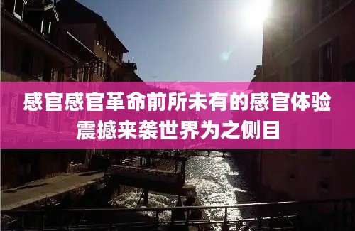 感官感官革命前所未有的感官体验震撼来袭世界为之侧目
