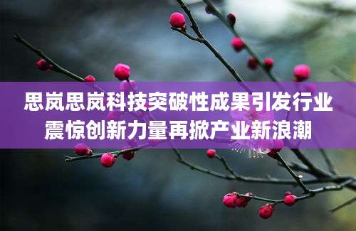 思岚思岚科技突破性成果引发行业震惊创新力量再掀产业新浪潮