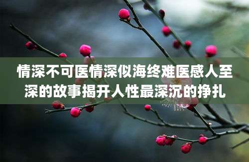 情深不可医情深似海终难医感人至深的故事揭开人性最深沉的挣扎