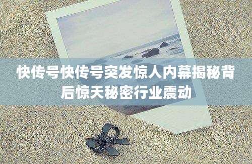 快传号快传号突发惊人内幕揭秘背后惊天秘密行业震动