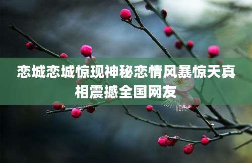 恋城恋城惊现神秘恋情风暴惊天真相震撼全国网友
