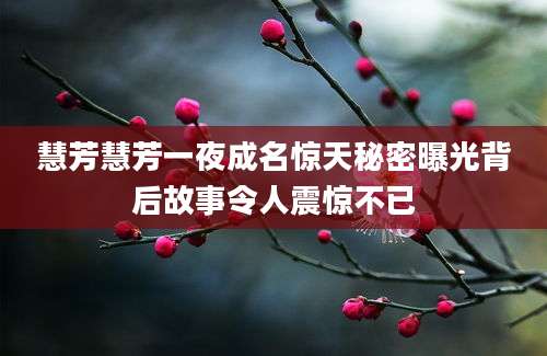 慧芳慧芳一夜成名惊天秘密曝光背后故事令人震惊不已