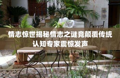 情志惊世揭秘情志之谜竟颠覆传统认知专家震惊发声