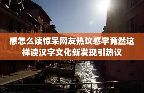 感怎么读惊呆网友热议感字竟然这样读汉字文化新发现引热议