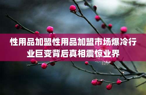 性用品加盟性用品加盟市场爆冷行业巨变背后真相震惊业界