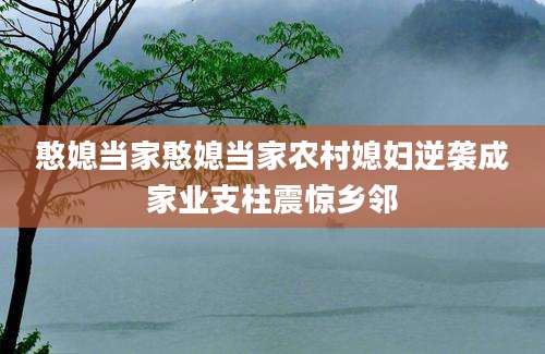 憨媳当家憨媳当家农村媳妇逆袭成家业支柱震惊乡邻