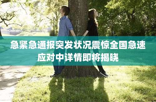 急紧急通报突发状况震惊全国急速应对中详情即将揭晓