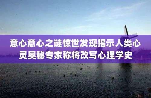 意心意心之谜惊世发现揭示人类心灵奥秘专家称将改写心理学史