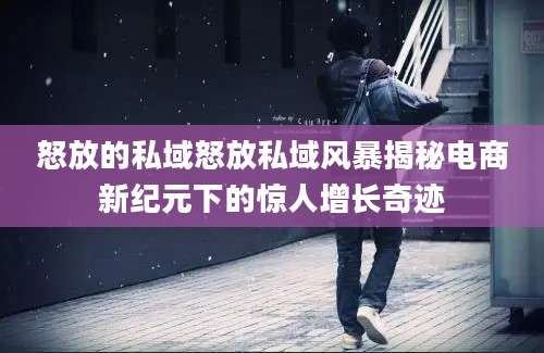 怒放的私域怒放私域风暴揭秘电商新纪元下的惊人增长奇迹