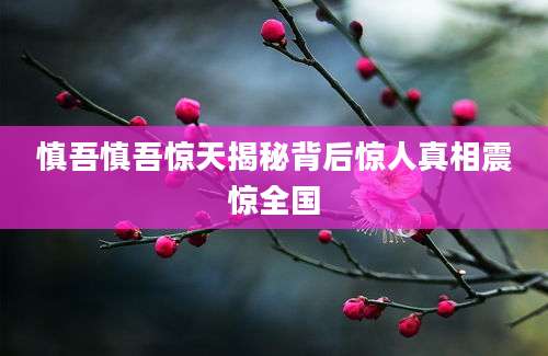 慎吾慎吾惊天揭秘背后惊人真相震惊全国
