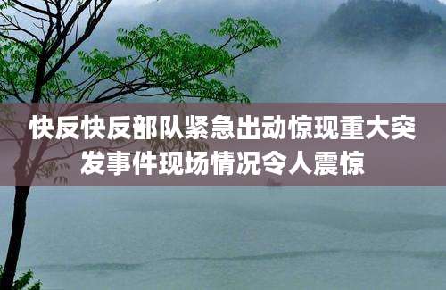 快反快反部队紧急出动惊现重大突发事件现场情况令人震惊