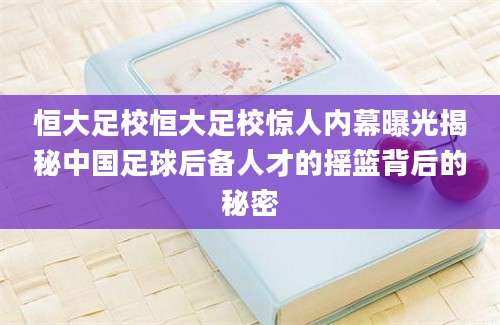 恒大足校恒大足校惊人内幕曝光揭秘中国足球后备人才的摇篮背后的秘密