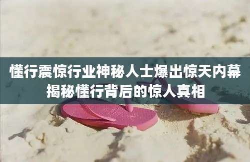 懂行震惊行业神秘人士爆出惊天内幕揭秘懂行背后的惊人真相
