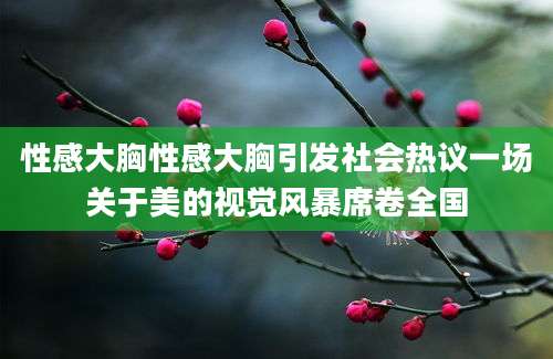性感大胸性感大胸引发社会热议一场关于美的视觉风暴席卷全国
