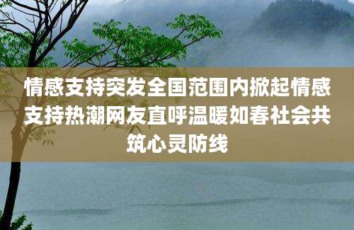 情感支持突发全国范围内掀起情感支持热潮网友直呼温暖如春社会共筑心灵防线