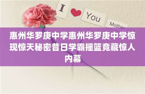 惠州华罗庚中学惠州华罗庚中学惊现惊天秘密昔日学霸摇篮竟藏惊人内幕