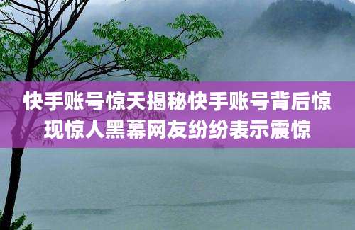 快手账号惊天揭秘快手账号背后惊现惊人黑幕网友纷纷表示震惊