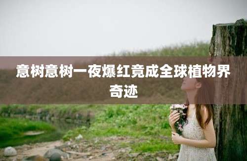意树意树一夜爆红竟成全球植物界奇迹