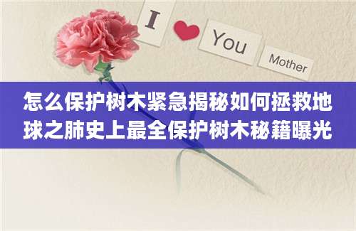 怎么保护树木紧急揭秘如何拯救地球之肺史上最全保护树木秘籍曝光